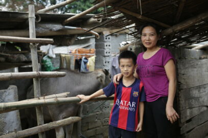 Cow bank scheme gives hopes to families
