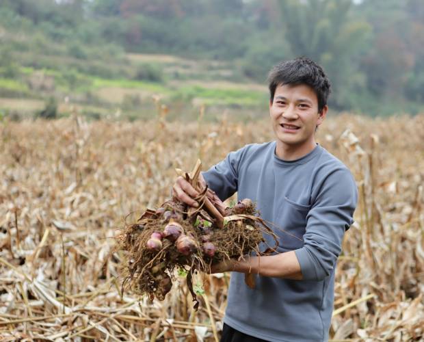 Canna Creates New Opportunities for Trung Khanh Farmers and Families